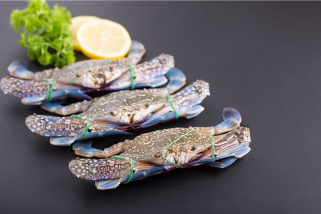 Blue Crab